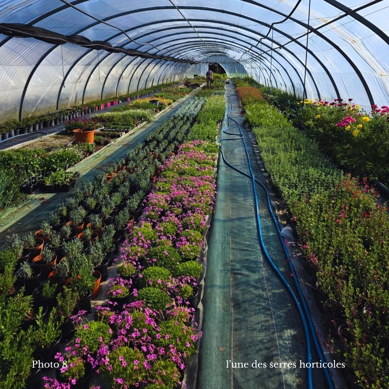 une journée avec un entomologiste, une des serres horticoles
