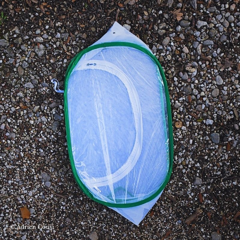 Flexarium 40x40x60 – Image 2
