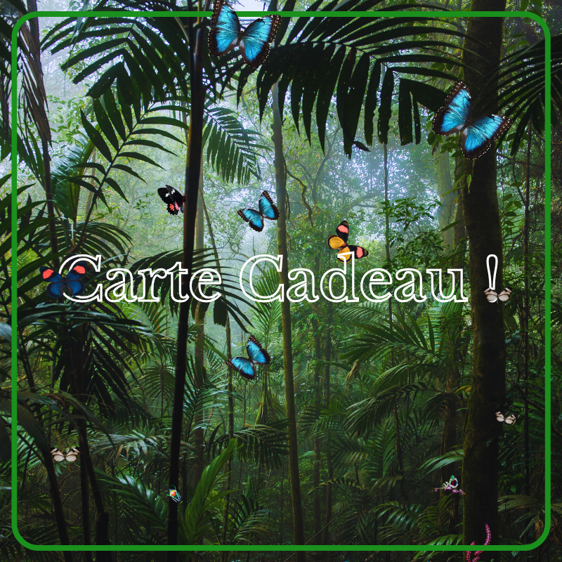 Carte cadeau