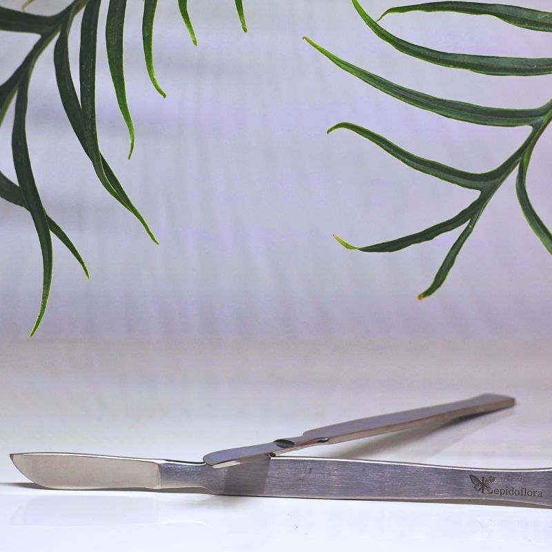 scalpel en acier inoxydable