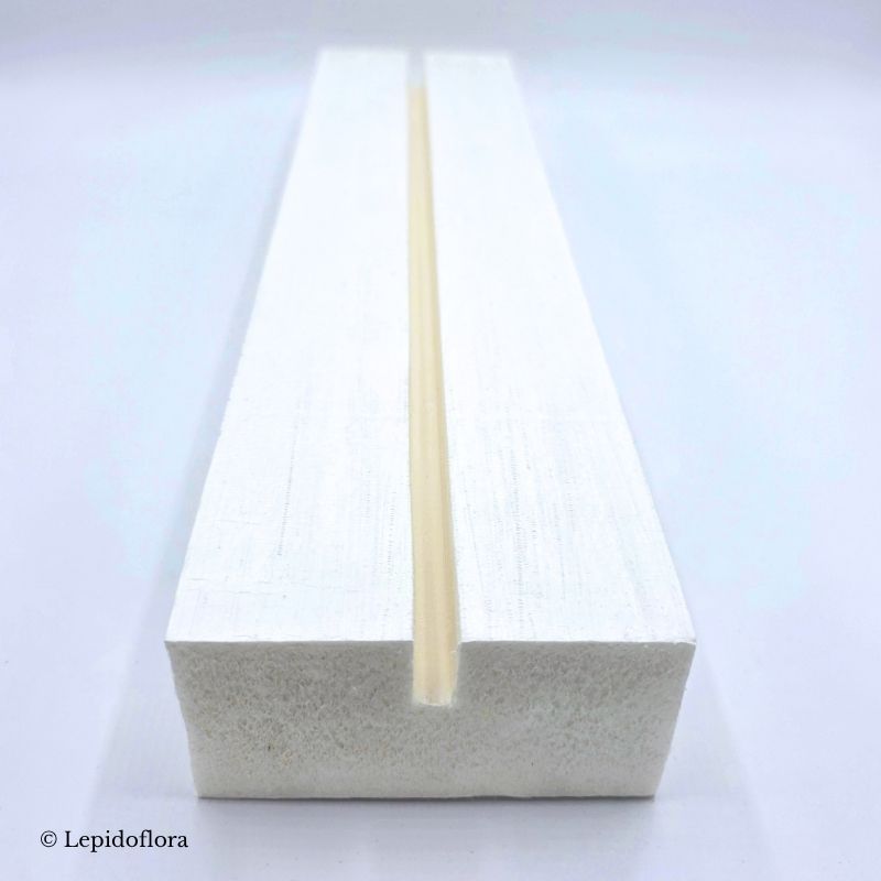 Étaloir à papillons 40 × 10 cm – Image 2